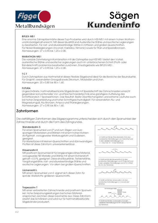 Bildansicht der Seite