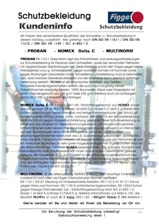 Bildansicht der Seite